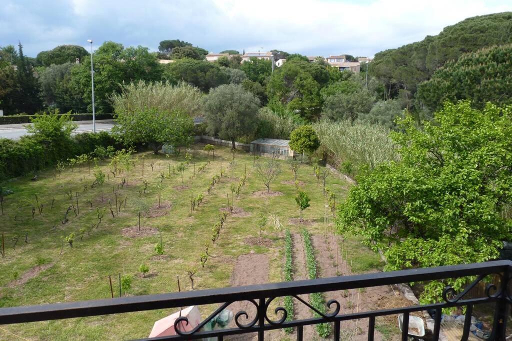 Appartement Independant Dans Villa, Entre Frejus Et St Raphael 외부 사진