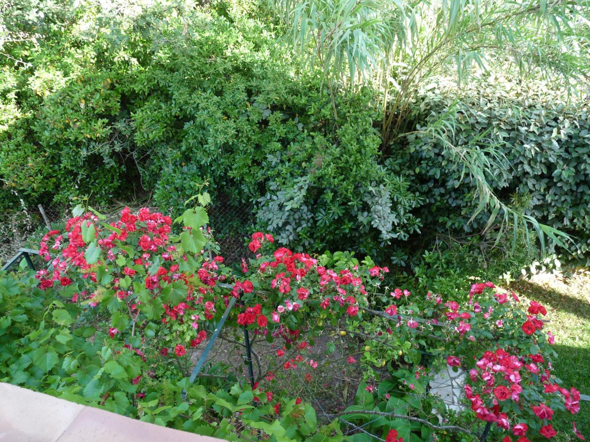 Appartement Independant Dans Villa, Entre Frejus Et St Raphael 외부 사진